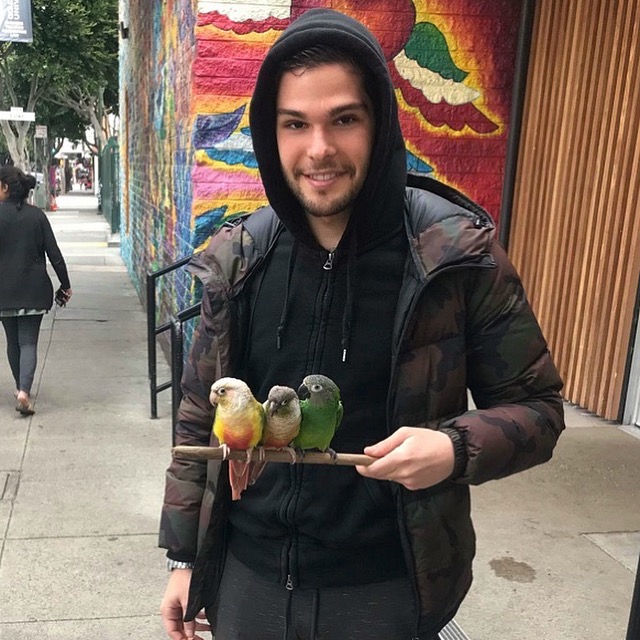 Theo Sarfati